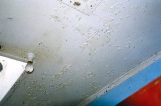 Фото процесса Грунтовка потолка в Уфе